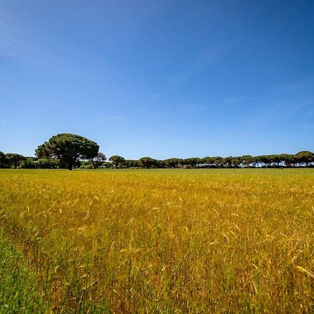 Agriturismo Bio Femminella Principina a Mare Exteriér fotografie