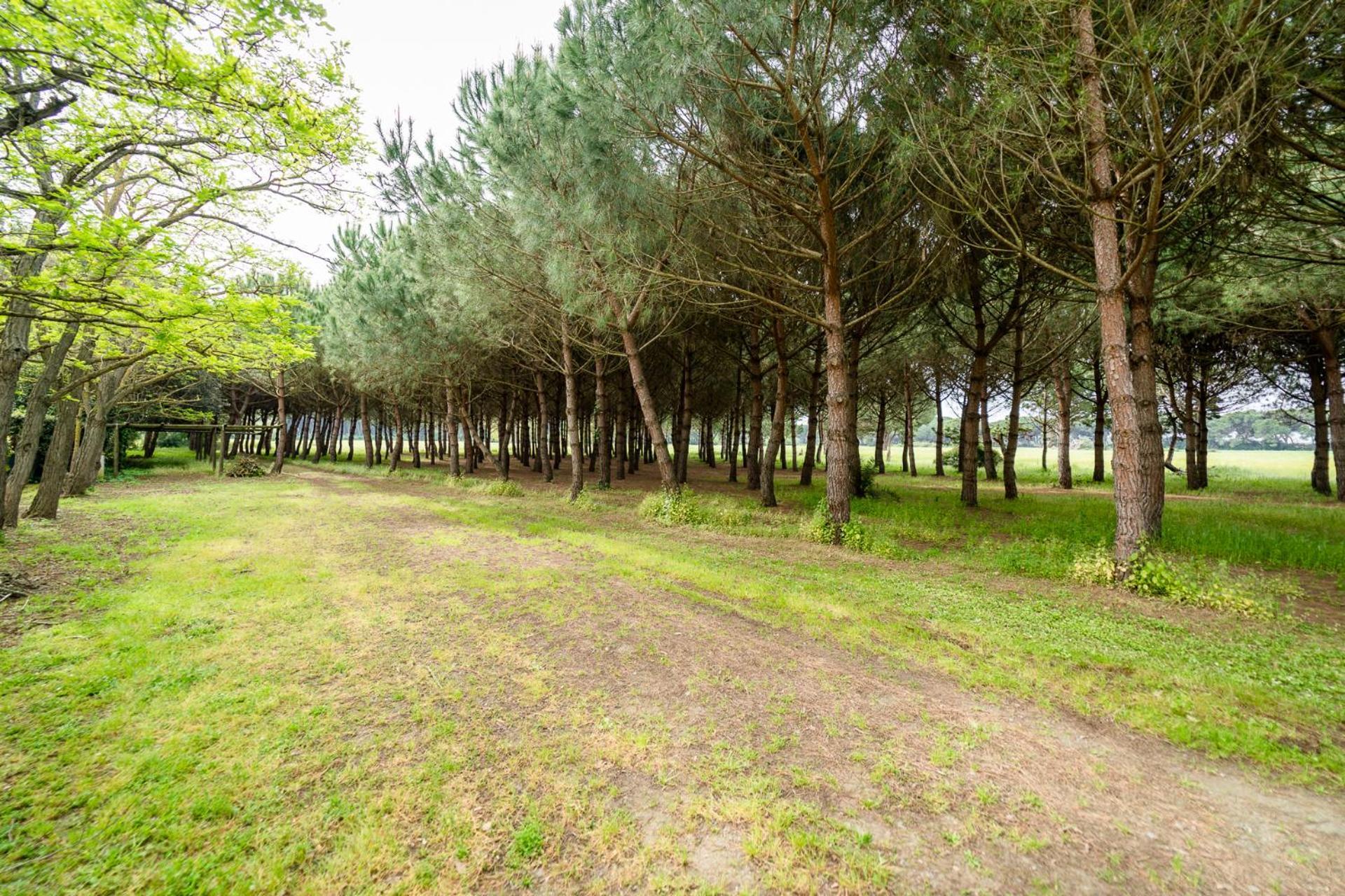 Agriturismo Bio Femminella Principina a Mare Exteriér fotografie