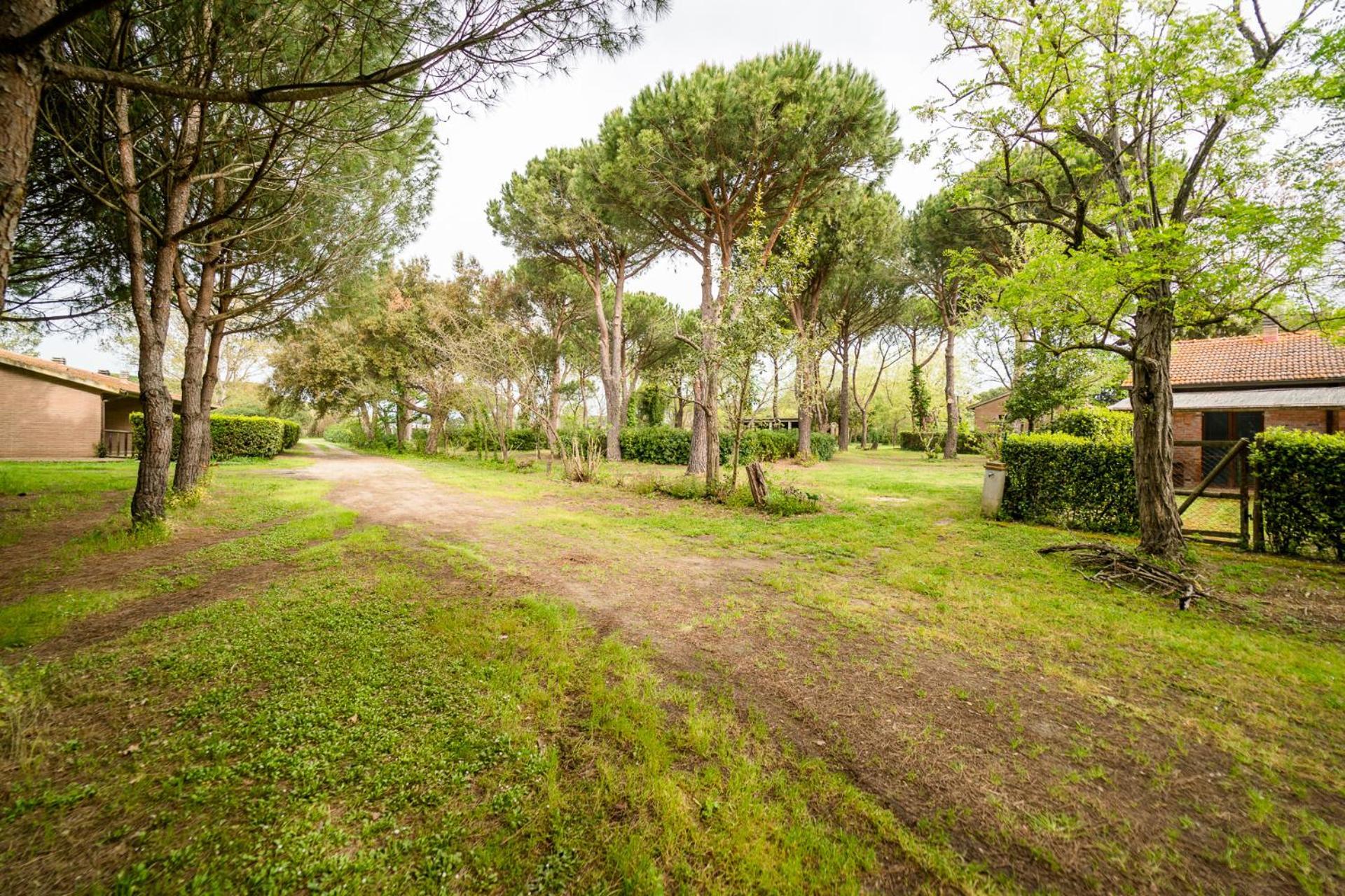 Agriturismo Bio Femminella Principina a Mare Exteriér fotografie