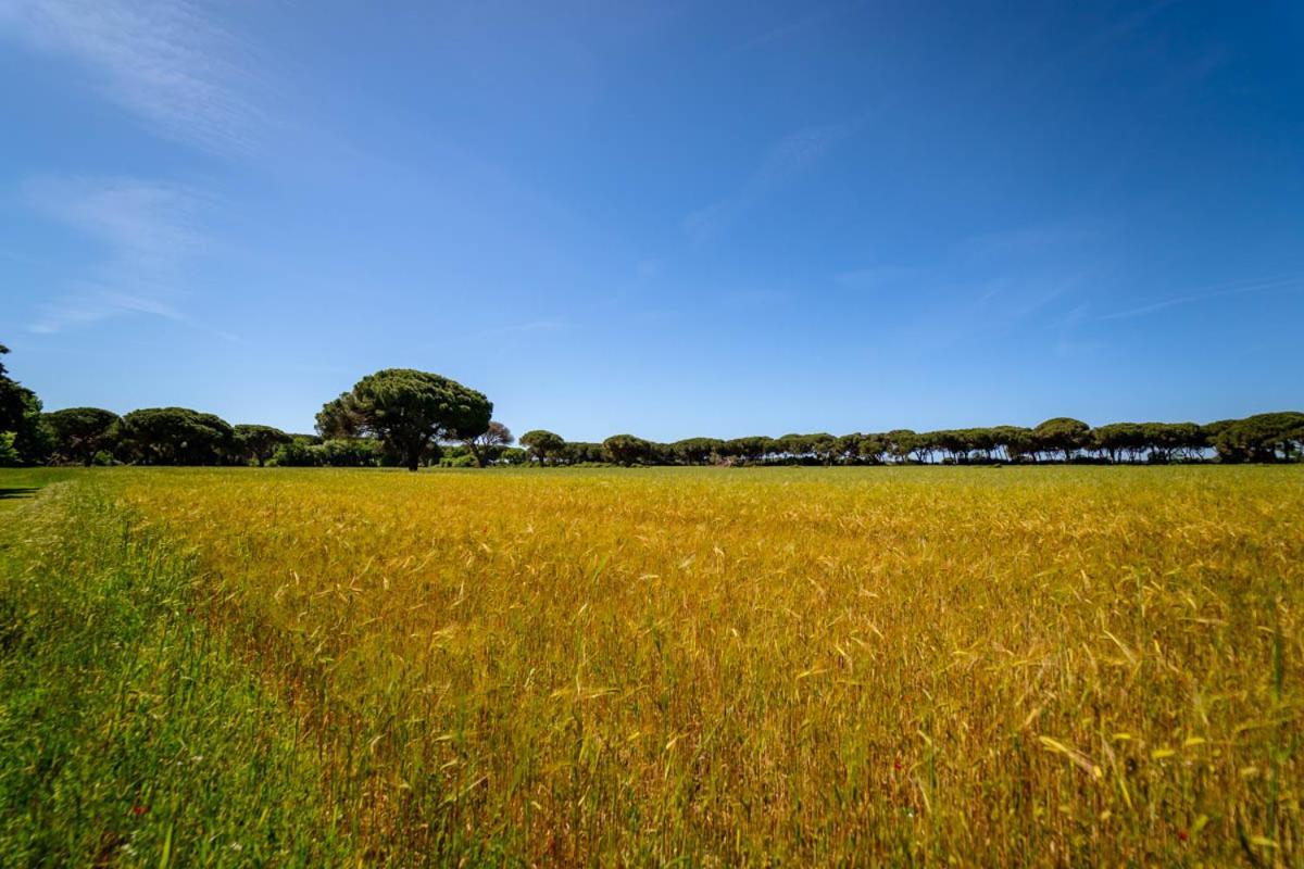 Agriturismo Bio Femminella Principina a Mare Exteriér fotografie